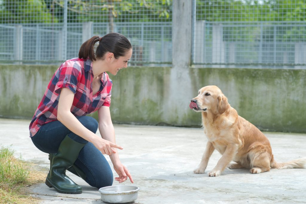 Das Bild zeigt eine Tierpflegerin mit einem Hund.